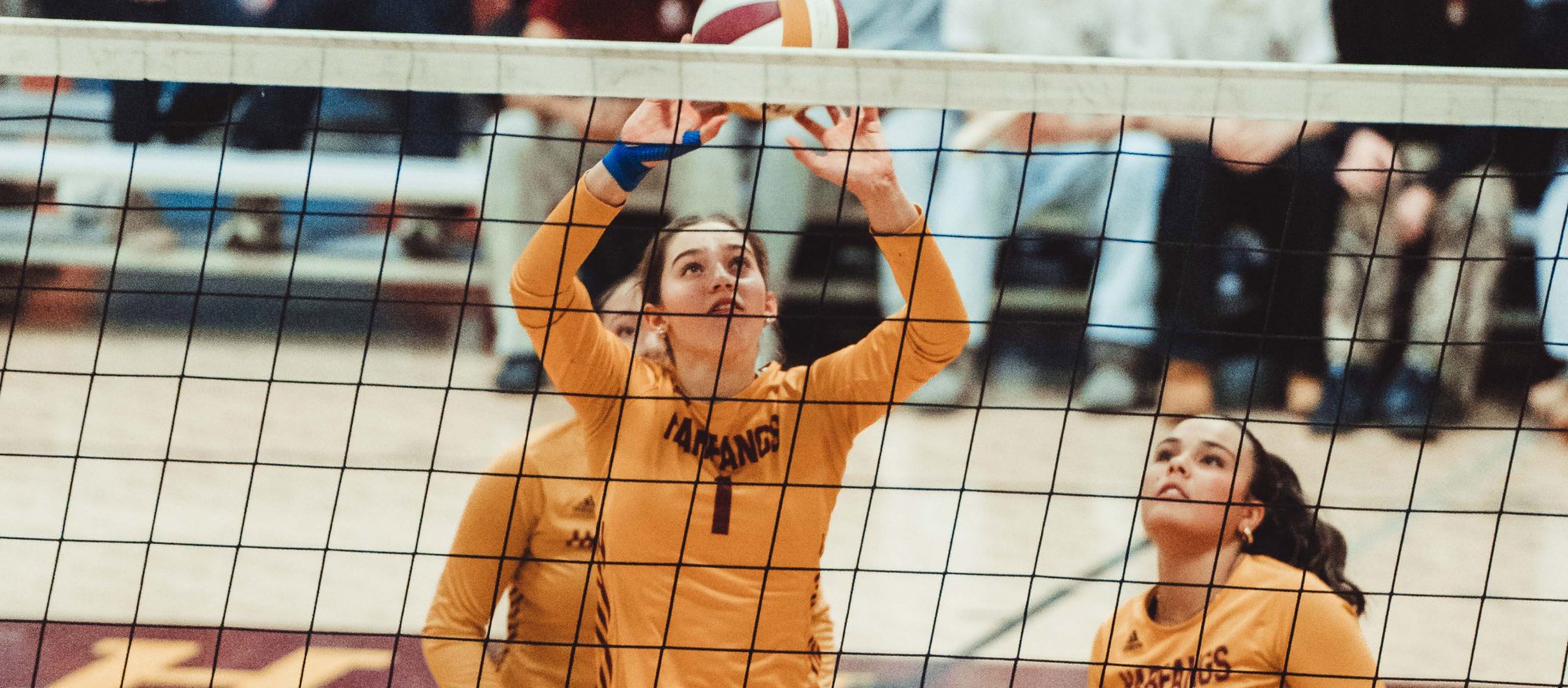 Volley Bea