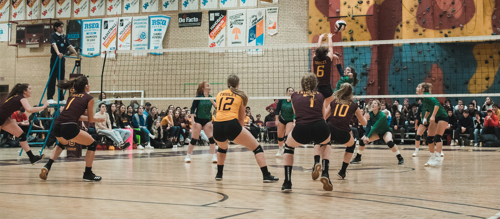Volley R