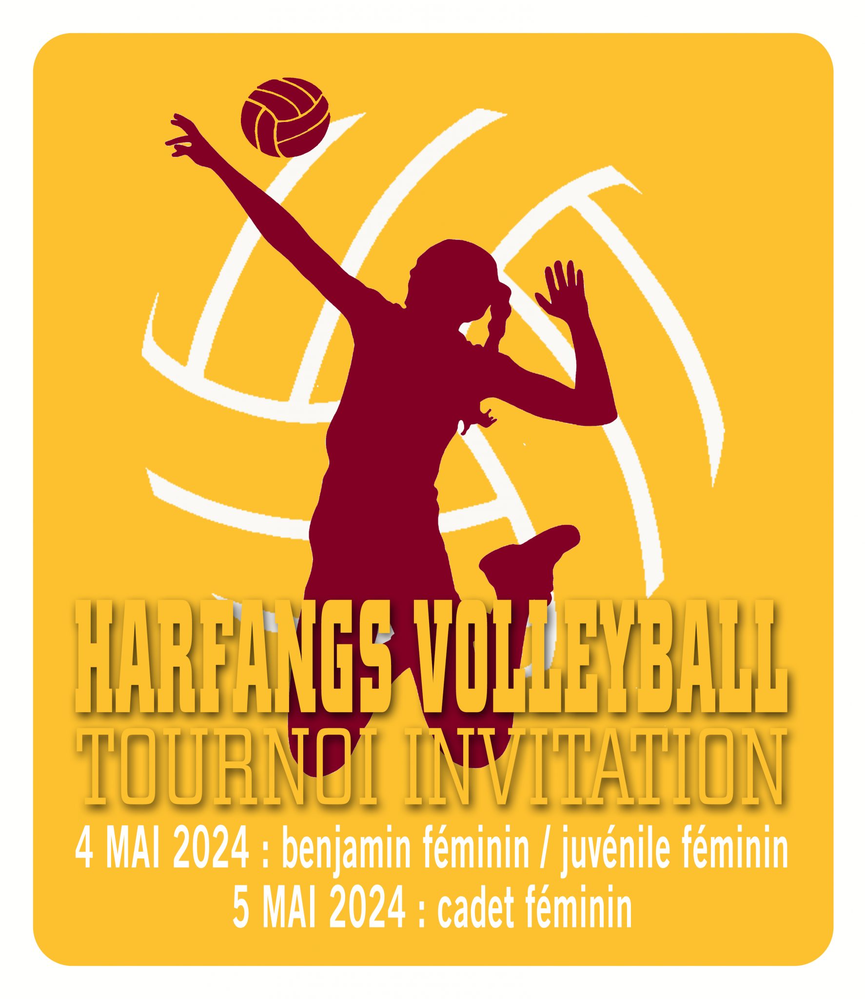 Invitation Harfangs volleyball 2024 Harfangs du Triolet